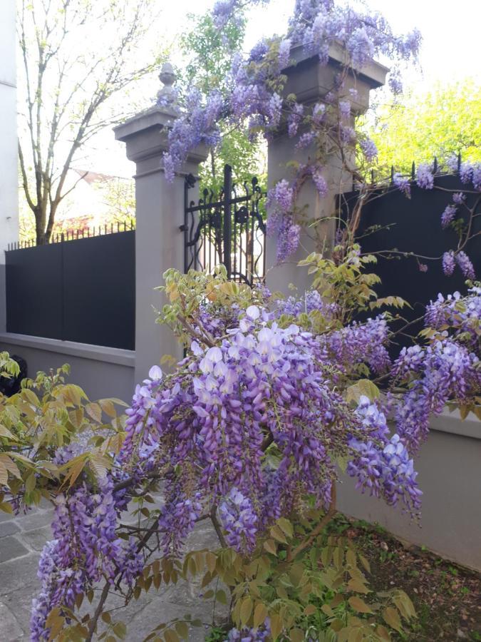 Villa Fiorentino 帕多瓦 外观 照片