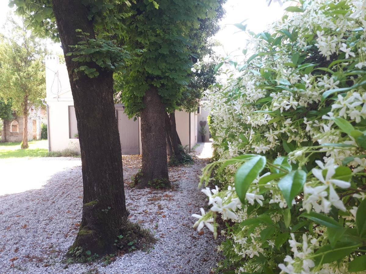 Villa Fiorentino 帕多瓦 外观 照片