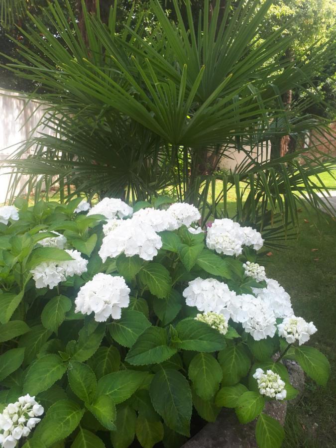 Villa Fiorentino 帕多瓦 外观 照片