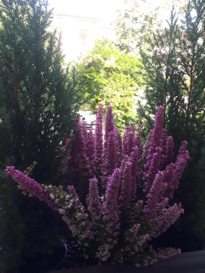 Villa Fiorentino 帕多瓦 外观 照片